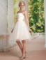 Corte A Tul Y Encaje Strapless