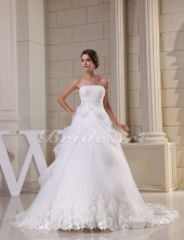 Corte Evasé Strapless Cola Gorrailla Sin Mangas Organza Encaje Vestido de Novia