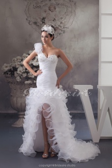 Corte A Solo Hombro Cola Corte Sin Mangas Organza Vestido de Novia